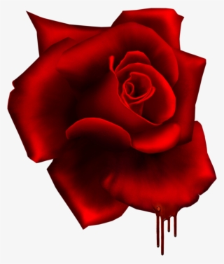Moma, Red Roses, Decoration, Collage, Clip Art, Beautiful - Floribunda