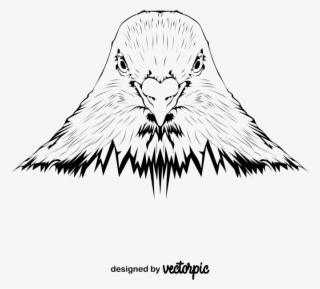 Line Art