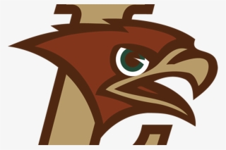 Villanova Football Vs Lehigh - Lehigh University Mountain Hawk