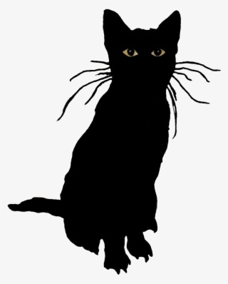 Valve Veteran And Riot Games Developer Launch Stray - Black Cat