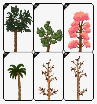 Image Trees1 Png Starbound Wiki Fandom Powered By Wikia - Palm Tree