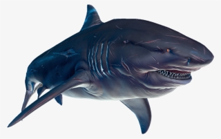 Shark Transparent Depth - Imagenes De Tiburon Blanco Tigre O Toro