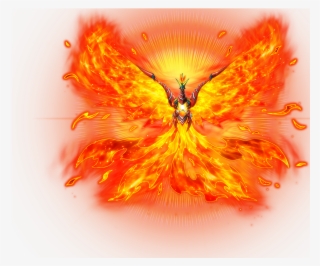 revive phoenix