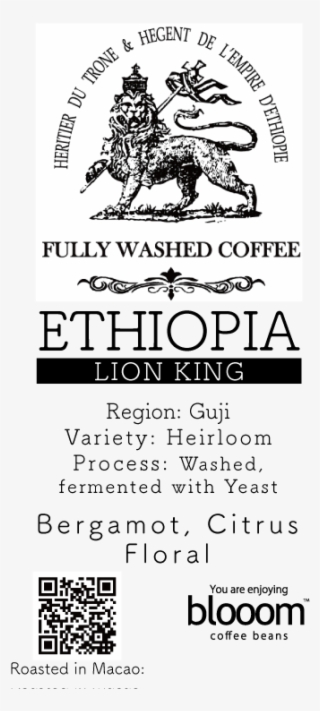 Ethiopia Lion King Washed - Bbmpins