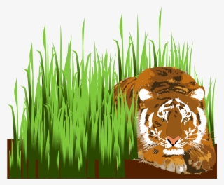 Big Image - Tiger In Grass Clip Art