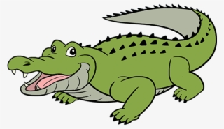 How To Draw Alligator - Cartoon
