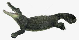 Free Png Download Crocodile Png Images Background Png - Crocodile Png