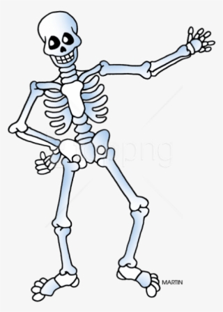 Free Png Download Free Skeleton Public Domain Halloween - Skeleton Clipart