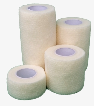 Home - Tissue Paper