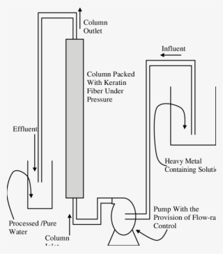 Schematic Of The Continuous Column For Heavy Metals' - Diagram