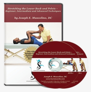 Stretching The Lower Back And Pelvis Beginner, Intermediate - Stretching Dvd