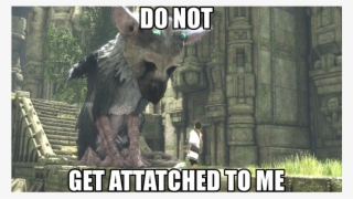 [the Last Guardian] Knowing That This Game Takes Place - Shadow Of Colossus Memes