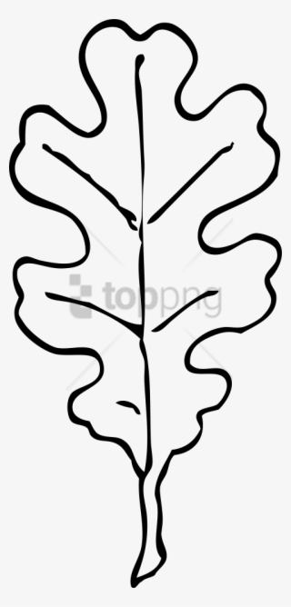 Free Png Download Oak Leafblack And White Png Images - Oak Leaf Clipart Black And White