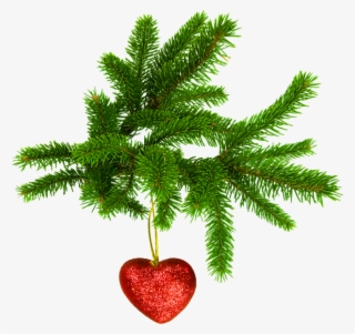 Adornos De Corazon Para Navidad - Christmas Tree Leaves Png