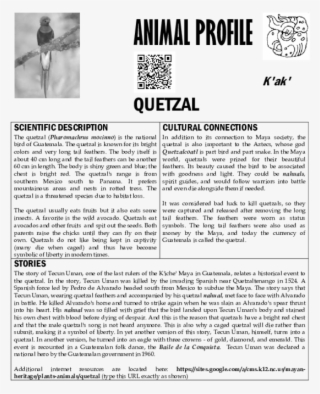 Pdf - Document