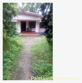 For Sale, 104 Cent Land With House At Mankara - House