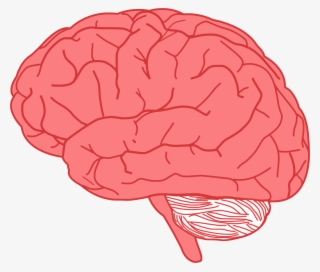 This Free Icons Png Design Of Brain Profile Optimized