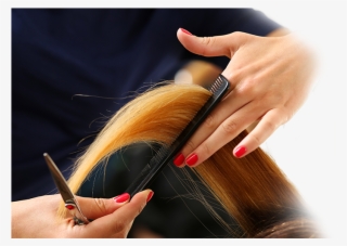 Finding The Perfect Hairstylist Is Like Searching For - Hairdresser