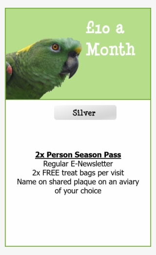 Print Out Your Form Now - Parakeet