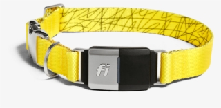Image Of The Collar In A Yellow Band - Belt