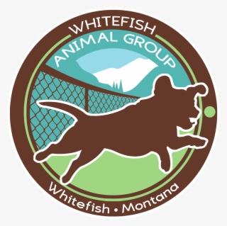 Wag Whitefish Animal Group - Dog Catches Something