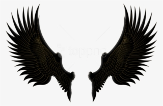 Free Png Download Black Gold Wings Clipart Png Photo - Black And Gold Wings