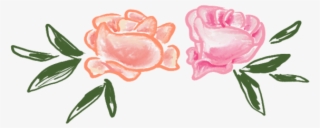 Flowers - Garden Roses