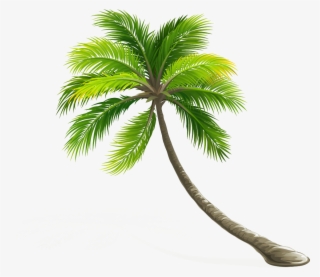 Arecaceae Coconut Leaf Tree Hd Image Free Png Clipart - Coconut Tree Clipart .png