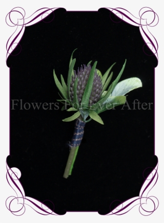 Thistle Gents Button Flowers For Ever After Artificial - Australian Native Flower Crown