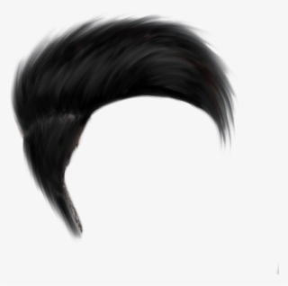 Cb Hair Png Hd - Hair Boy Png Hd Transparent PNG - 896x616 - Free Download  on NicePNG