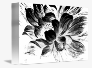 Abstract Drawing Black And White - Black And White Abstract Flowers Art