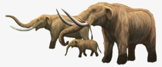 Dan Has Written A Lovely Post About His Mixed Feelings - Mastodon Elephant