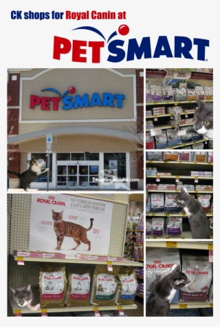 I Had A Great Time Visiting Petsmart Last Week - Petsmart