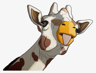 0 Replies 0 Retweets 0 Likes - Giraffe