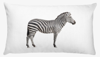 Zebra Print Rectangular Pillow - Plains Zebra Side View