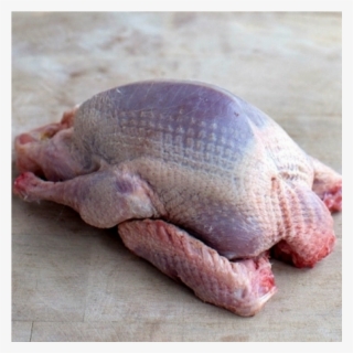 Squab Pigeon Whole 320-380g, France - Guinea Hen Meat Color