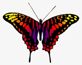 Dangerous Looking Butterfly - Clipart Symmetrical Butterfly
