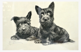 Vintage Signed Scottie Dogs Print Grace G - Scottish Terrier