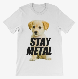 Stay Metal Golden Pup - Puppy