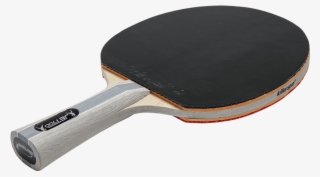 Best Table Tennis Racket Killer Spin