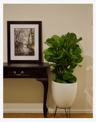 Wall