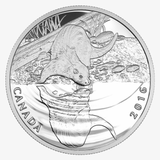 pure silver coin reflections of wildlife - silver