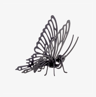 Casa - Spider