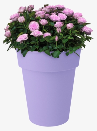 Home > Collection > Green Basics Top Planter High - Flowerpot