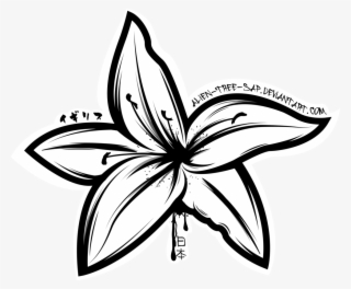 Butterflies Drawing Lily - Lily Outline Png