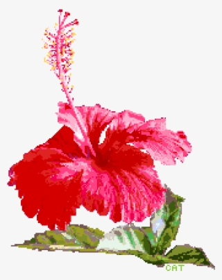 Pixilart By Catsorfries Transparent Background - Transparent Hibiscus