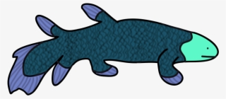 Amateurish Coelacanth - Shark