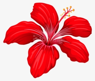 Free Png Download Exotic Red Flower Png Images Background - Exotic Png