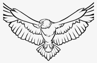 Free On Dumielauxepices Net Soaring - Bald Eagle Clip Art Black And White