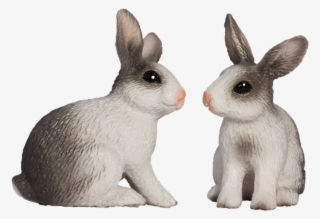 Easter Bunny, Spring, Frühlingsanfang, Spring Awakening - Rabbit